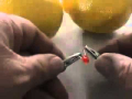 Lemon Batteries
