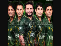 Road to world cup 2011 Pakistan (MUST WATCH) 