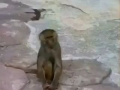 OOoOppsss!!