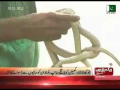 Anokha Ladla Khelan ko Mangay Saanp