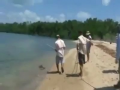 Surprise My Lunch Back to me! by Poor Crocodile