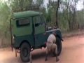 Driver of The Year