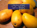 Pakistan can Earn Billion Dollar From Mango