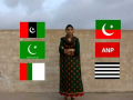 Pakistan's first online youtube elections