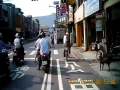 Cat on bike