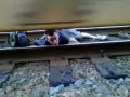 Crazy or Brave!!!!!!!!!
