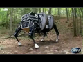 Robotic dog unveiled by the US military 