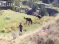 Touching A Wild Horse