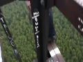 Brave or Insane