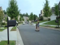 Skating Dog