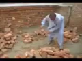 Awesome Skill