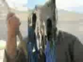 Trip on Barg Hill (Kheer Thar)