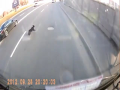 Lucky Dog Escapes Injury Twice