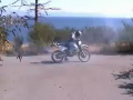 Bike Stunt Fail