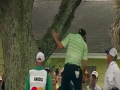 Sergio Garcia's Tree Shot in Golf