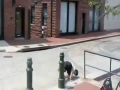 Stunt Fail Funny