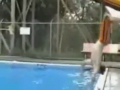 Funny Accidents Collection