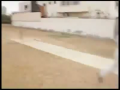 Unbelievable Shot