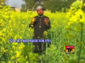 Jab se Dar e Nabi Ka Main Mehman Ho Gaya - Qari Shahid Mahmood Naat 