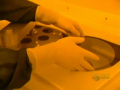 How are CDs made