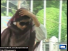 Punjab Assembly ki Khwateen MPA's se Aatey ka rate pucha gaya tu unka jawab - Must Watch