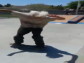 Grandpa Doing The Best Skateboard Trick