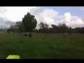 Guy gets his bear to do crazy tricks