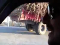 Crazy Driver