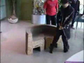 Unbelievable Chair, Chinese Rock!!!